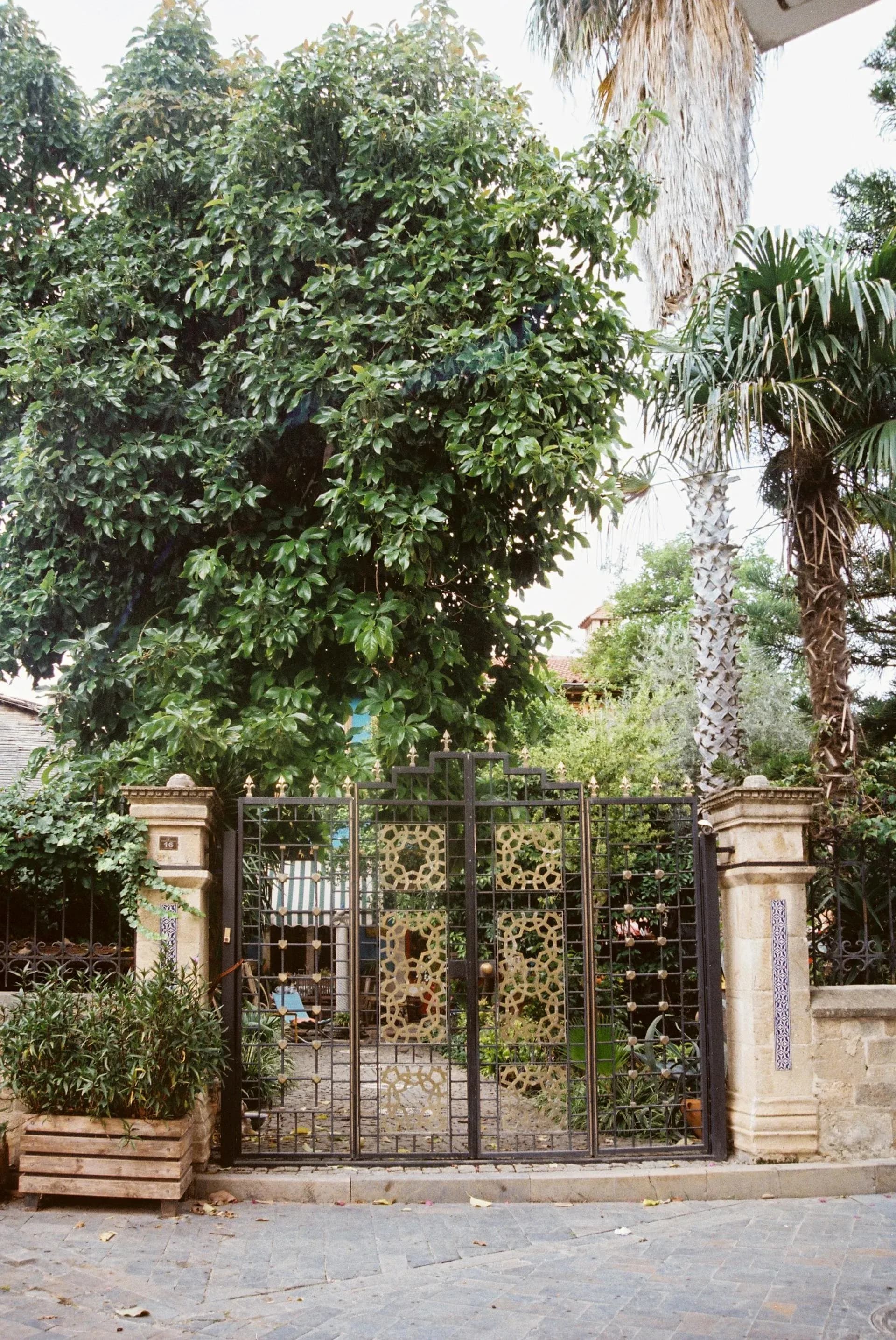 HOA Rules in Atlanta's Luxury Communities