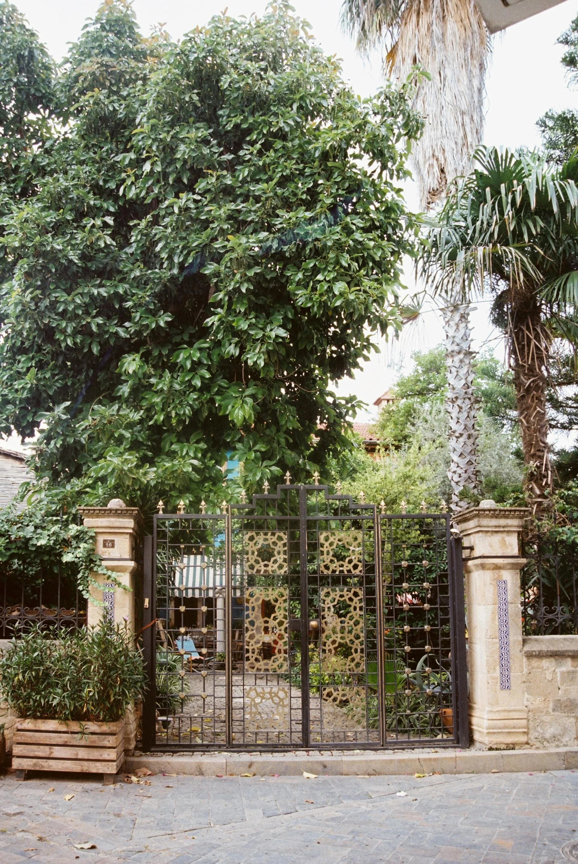 Luxury Atlanta community with manicured landscaping and stately homes