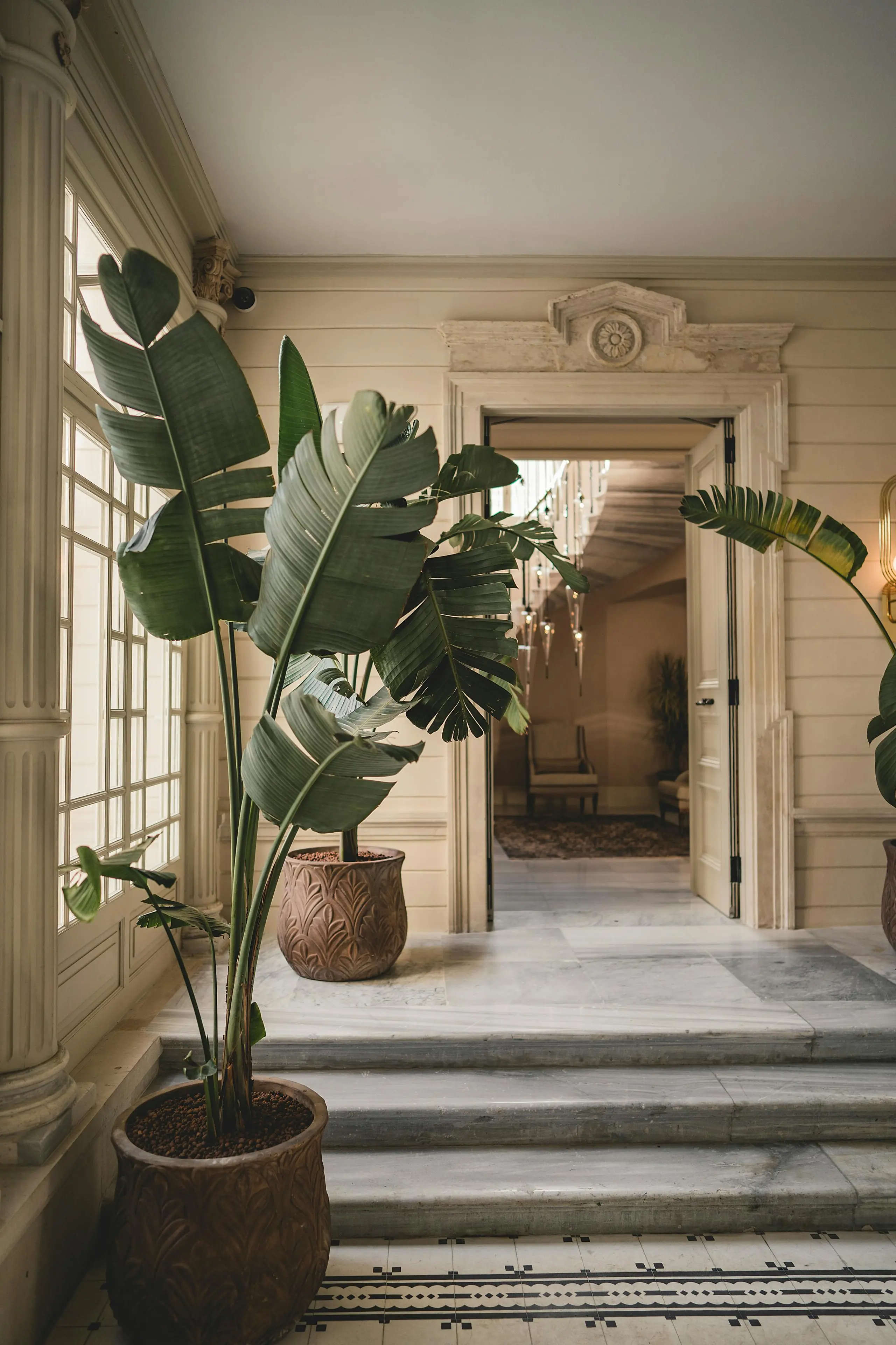 Grand entrance foyer with bird of paradise plants, carrara marble floors, classical moldings and French doors
